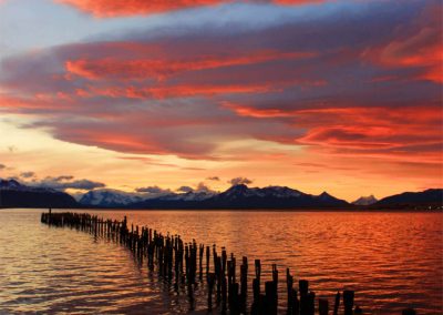 Paisaje Puerto Natales - Torres del Paine