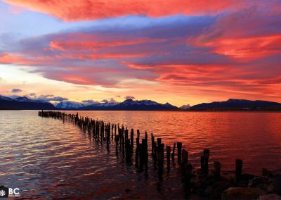 Paisaje Puerto Natales - Torres del Paine